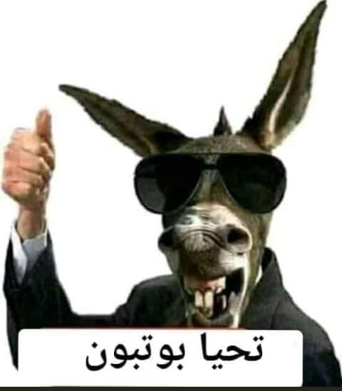 إيطاليا تحرج النظام الجزائري بسبب الغاز والمستفيد الوحيد من الصفقة هو البغل الجزائري الأصيل